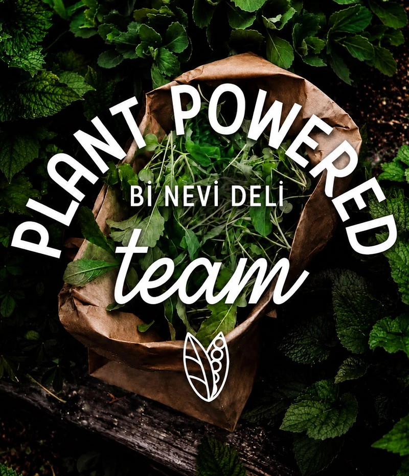 Bi Nevi Deli ile Vegan Tatlılar
